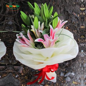 Hoa tươi TGHT-0649